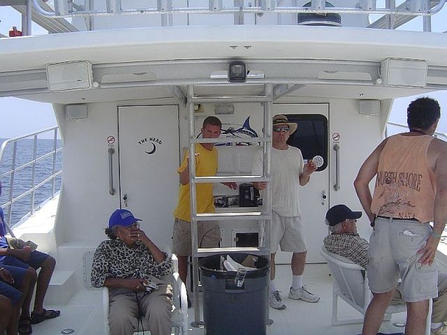 618x457 pixels (66K)