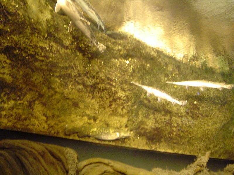 778x577 pixels (150K)